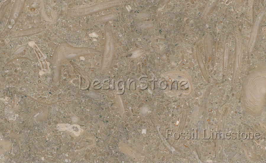 Fossil Limestone