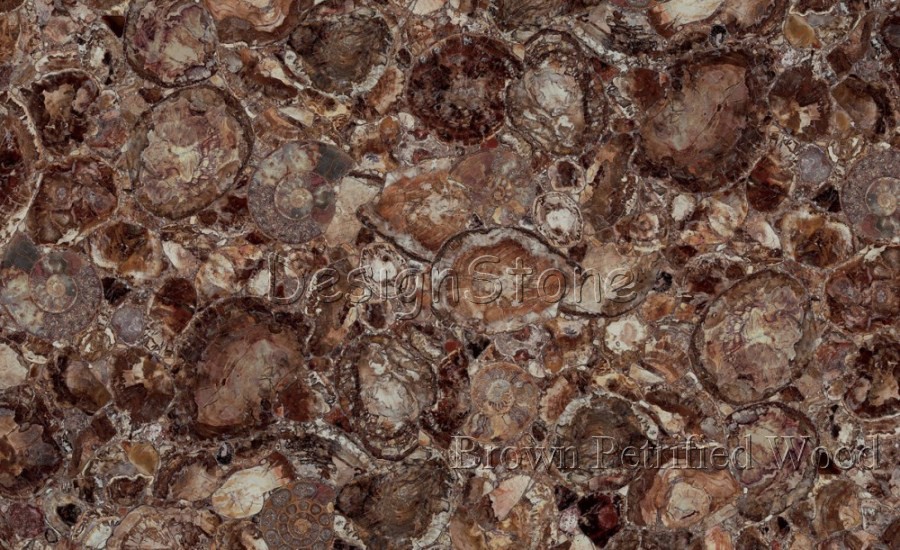Brown Petrified Wood
