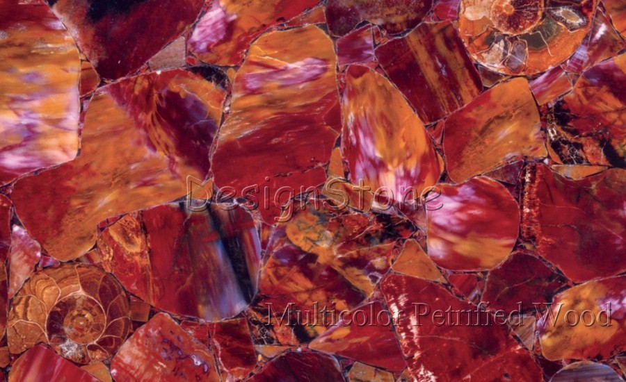 Multicolor Petrified Wood