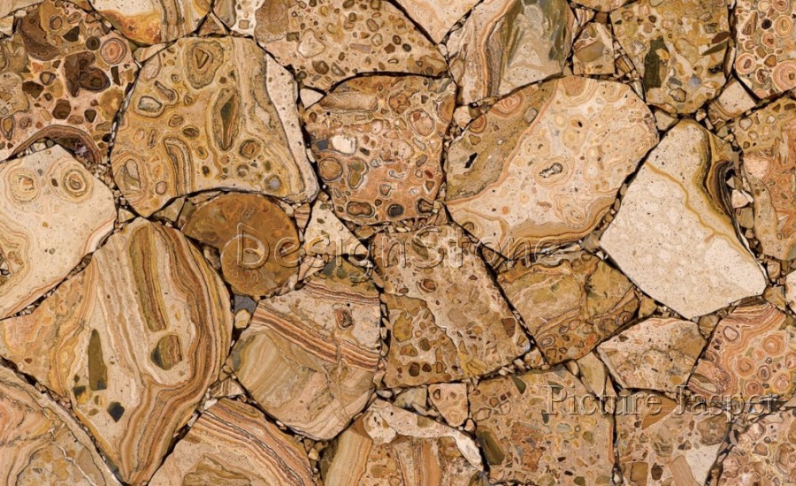 Picture Jasper