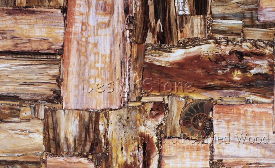 Retro Petrified Wood