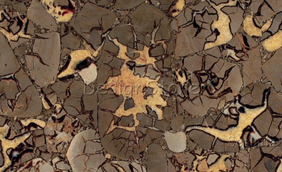 Septaria