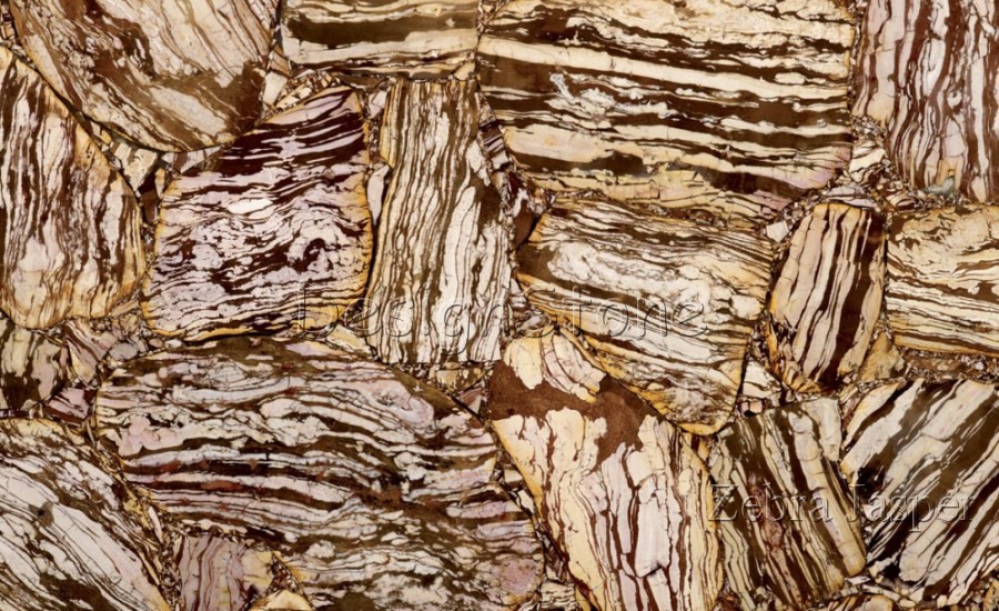 Zebra Jasper